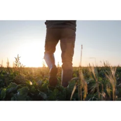 Jachtlaarzen Renfort 540 Met Rits -Herenschoenenwinkel jachtlaarzen renfort 540 met rits 6