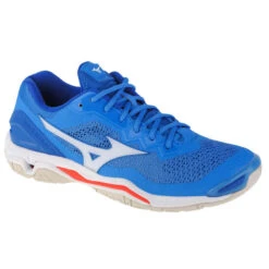 Mizuno Wave Stealth V, Mannen, Handbal, Handbalschoenen, Blauw