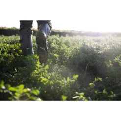 Rubberlaarzen Met Plooi 520 11 Rubberlaarzen Met Plooi 520 -Herenschoenenwinkel rubberlaarzen met plooi 520 5